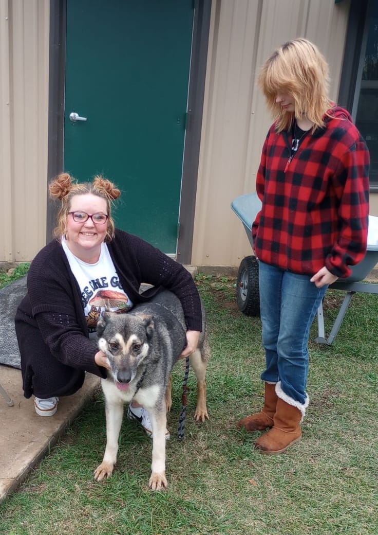 Bastrop Animal Control finds pet a home